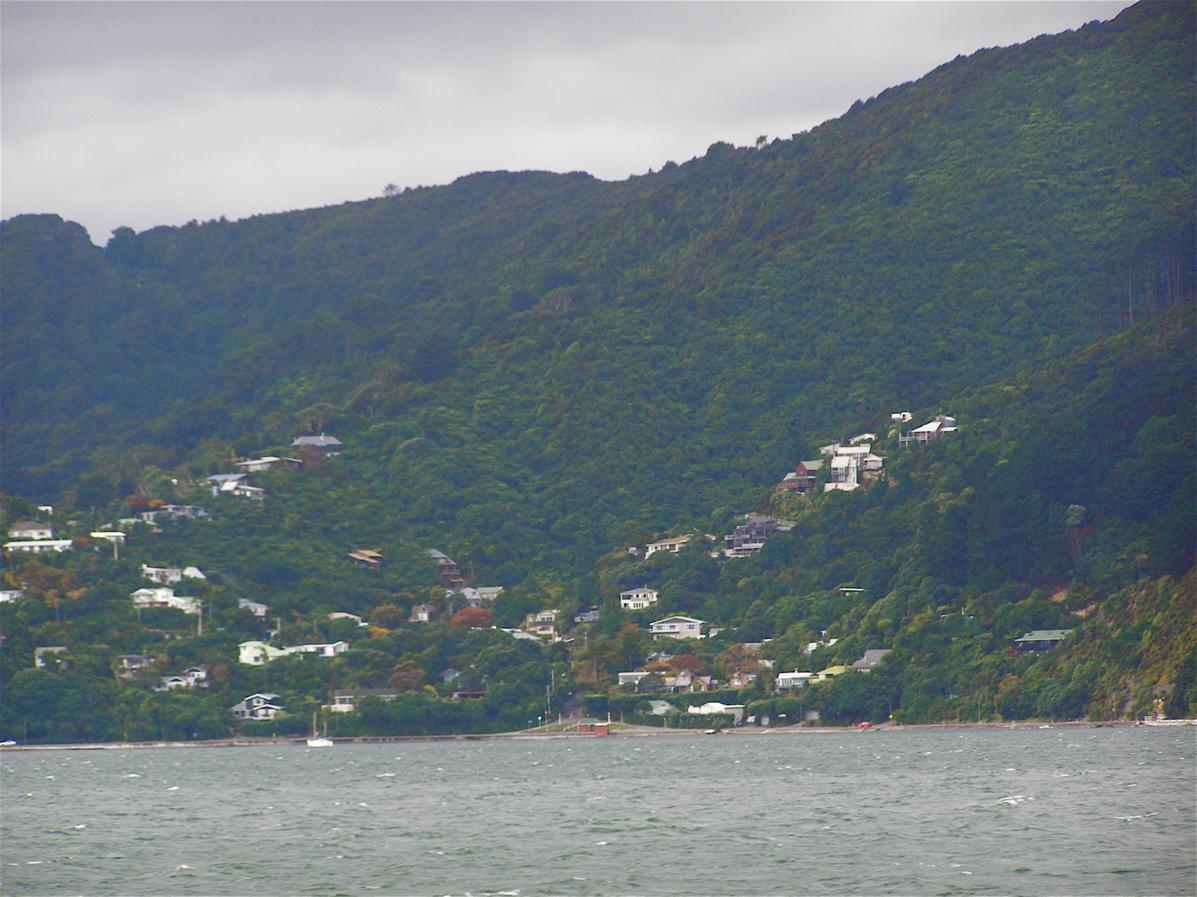 Bush House Bed and Breakfast Lower Hutt Exteriör bild